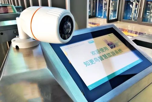 科技賦能文旅復蘇 互聯網信息服務如何助力西安景區疫后振興